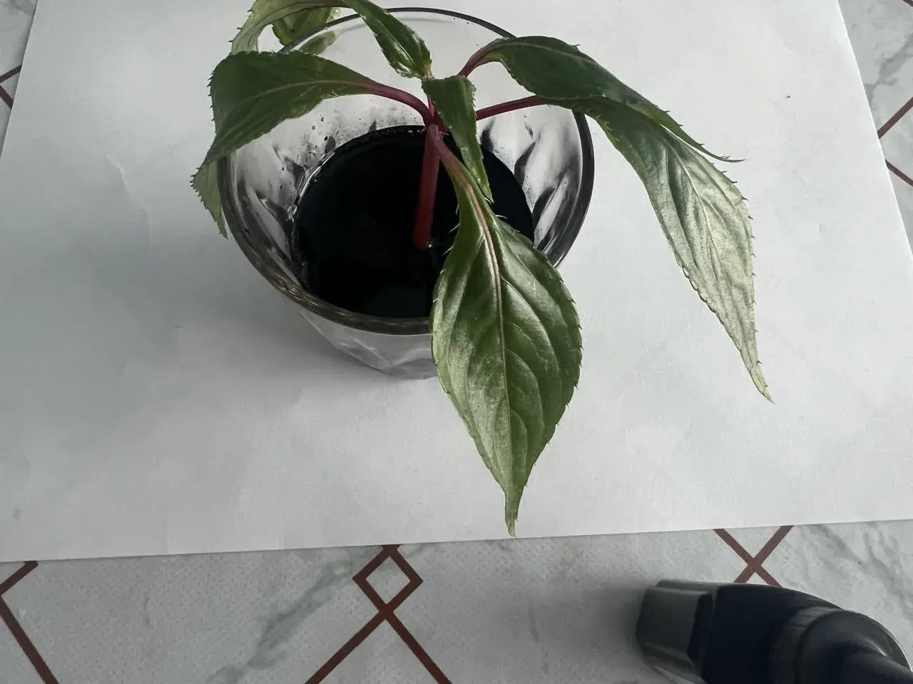 "Ландшафтный дизайнер"