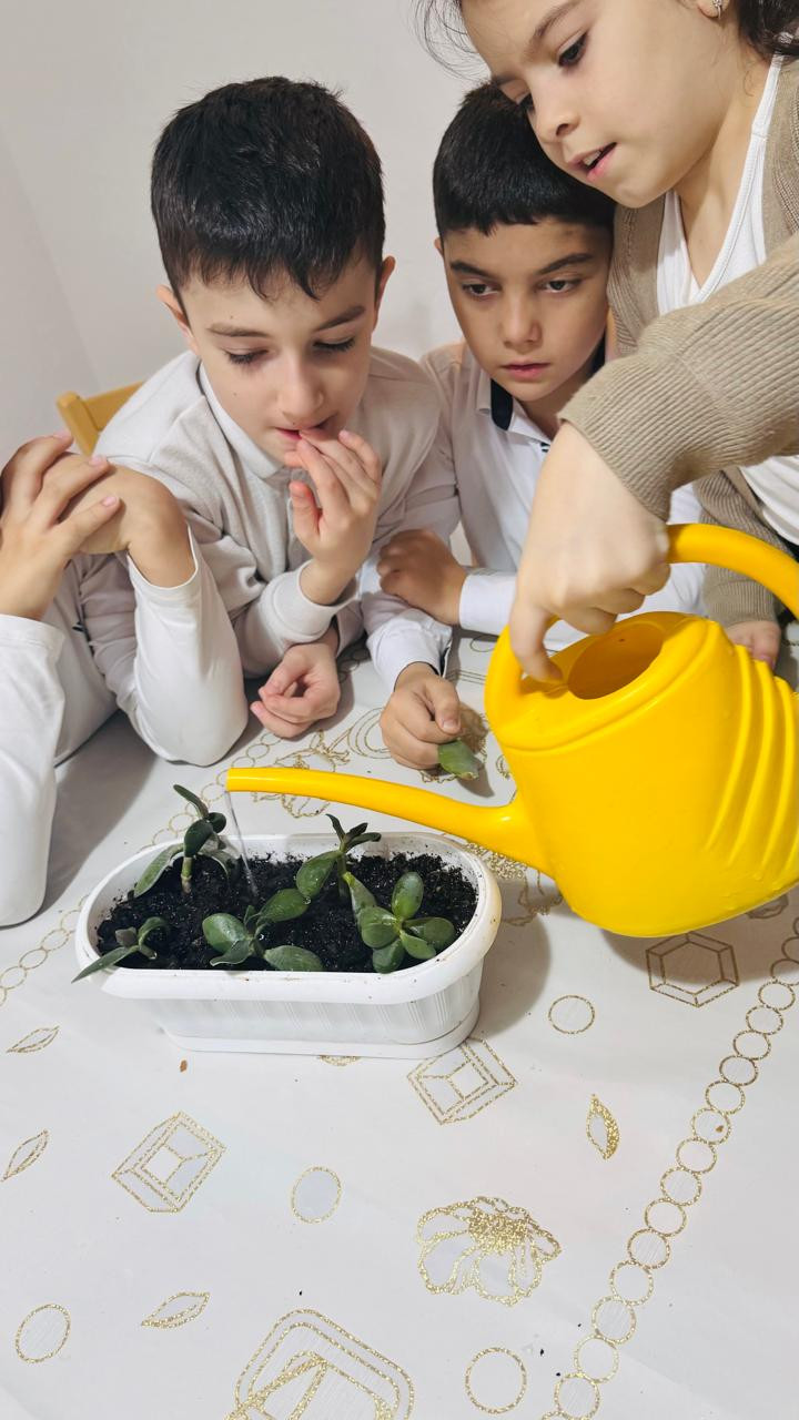 Объединение "Экодизайн"