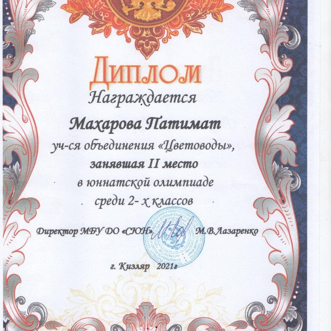 Результаты освоения ДОП "Эти загадочные цветы"