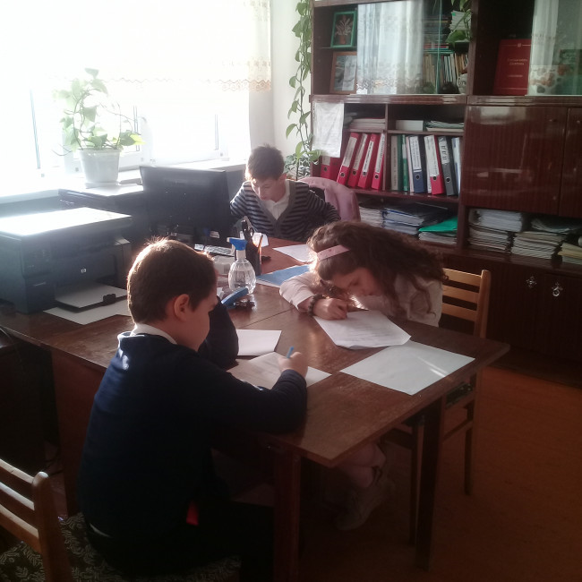 Результаты освоения ДОП "Эти загадочные цветы"