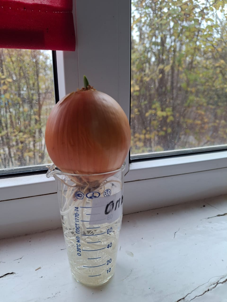 Объединение "Агростарт"