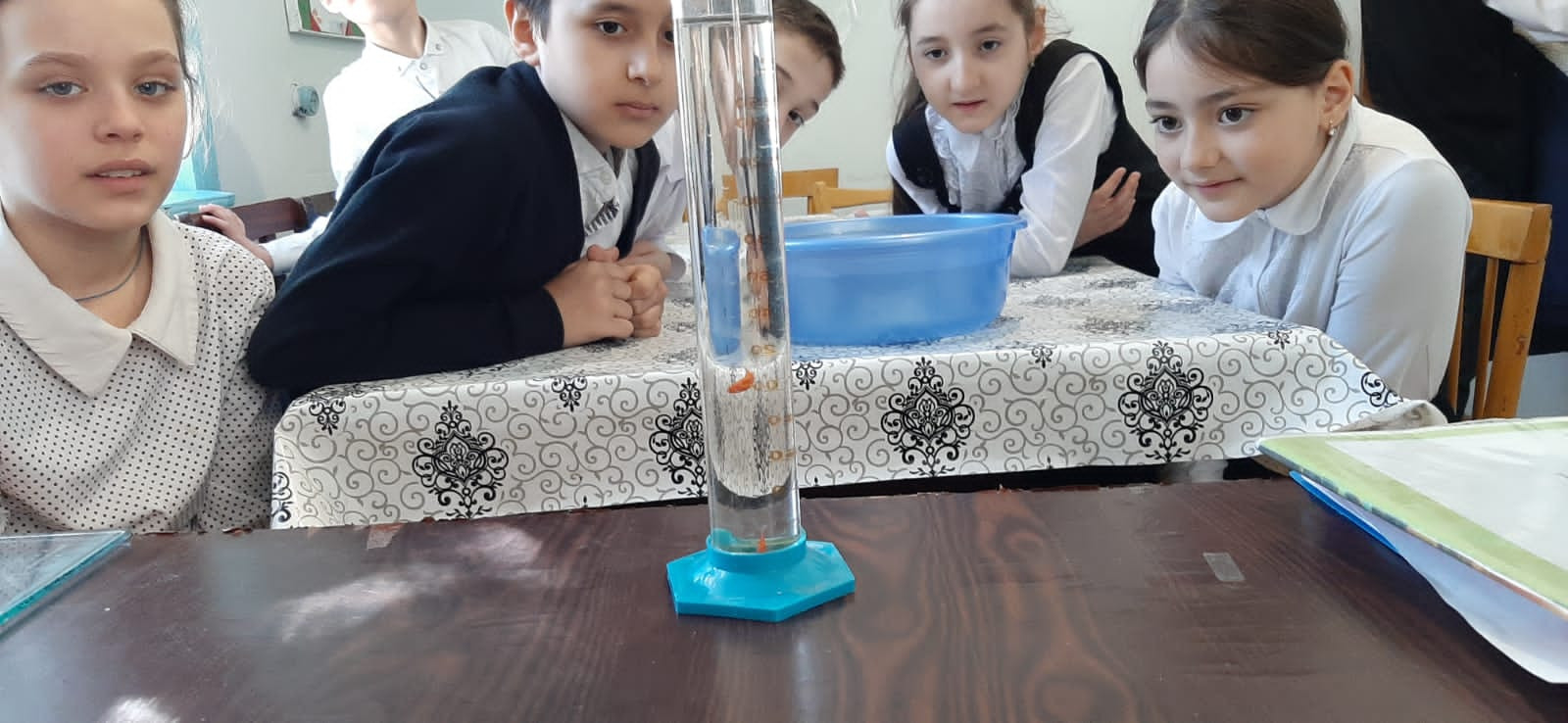 Объединение "Юные аквариумисты"