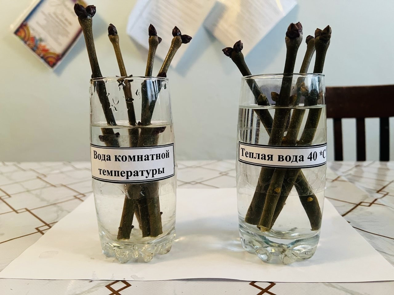 Объединение "Ландшафтный дизайнер"