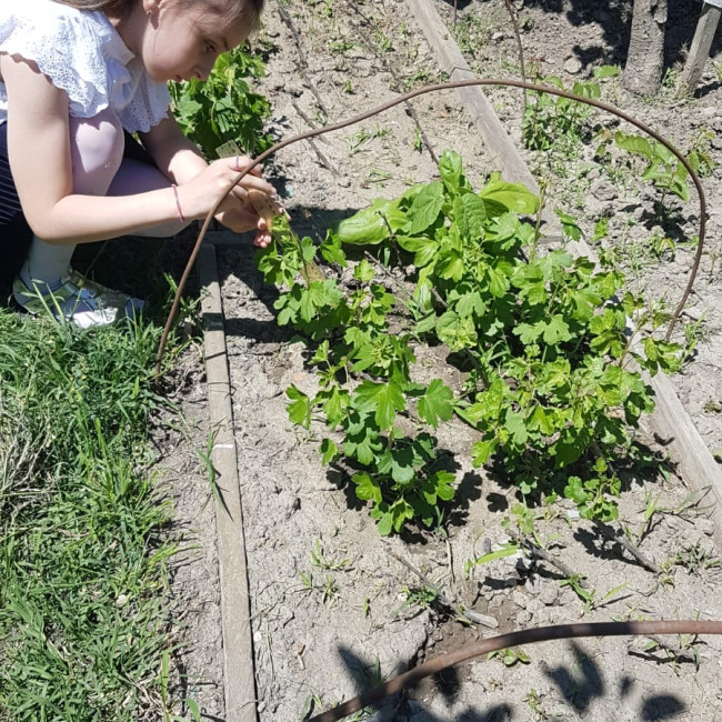 Объединение "Садоводы"