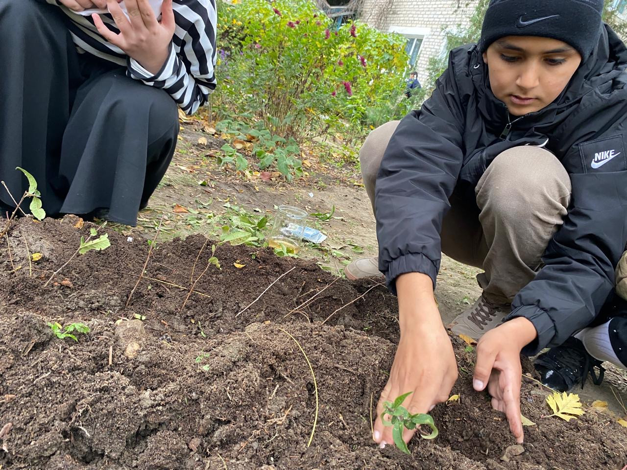 "Комнатные цветоводы"