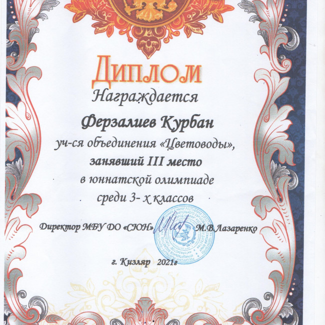 Результаты освоения ДОП "Эти загадочные цветы"