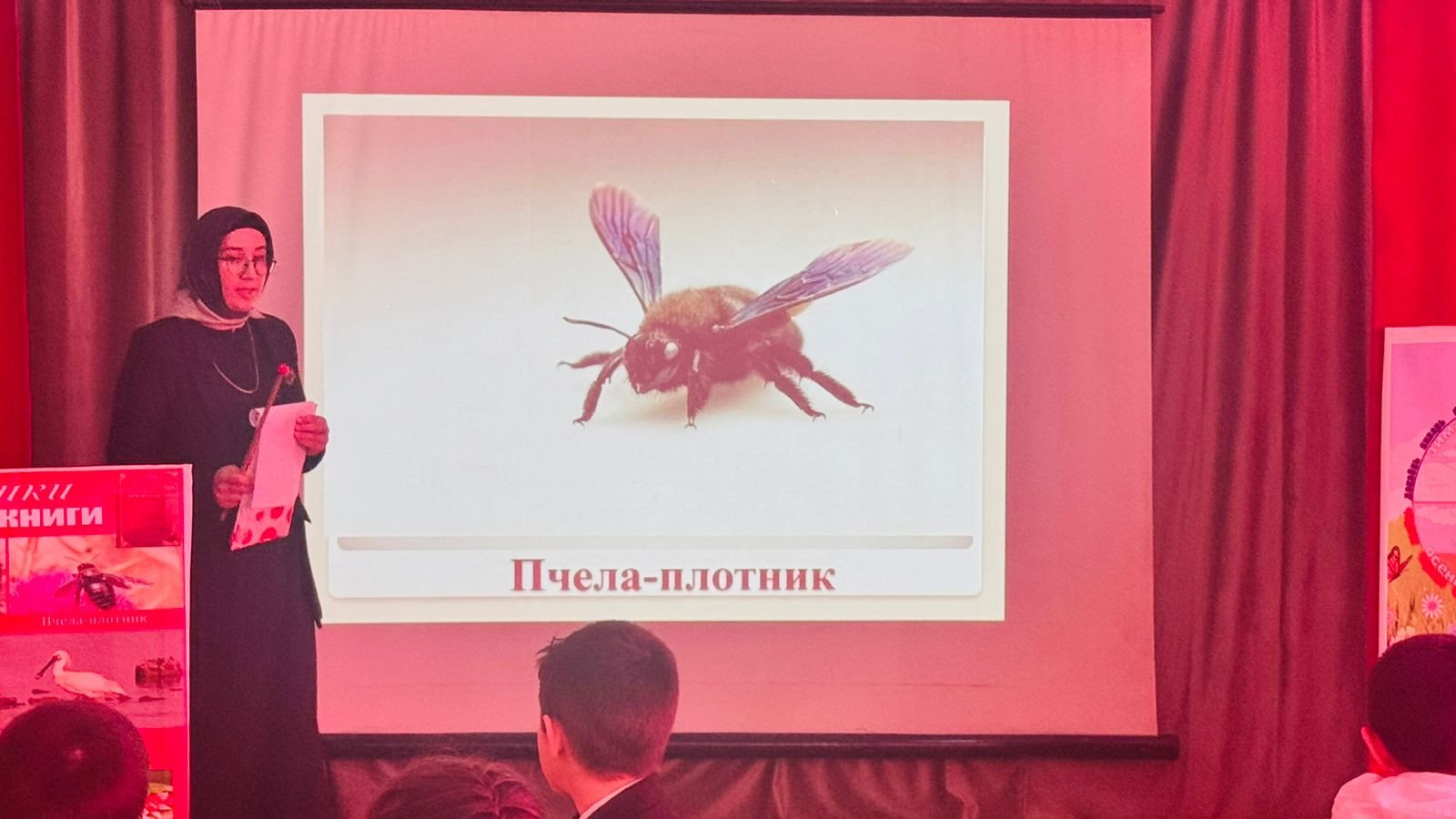 График проведения открытых занятий в объединениях ДДиМ на 2024- 2025 уч.г.