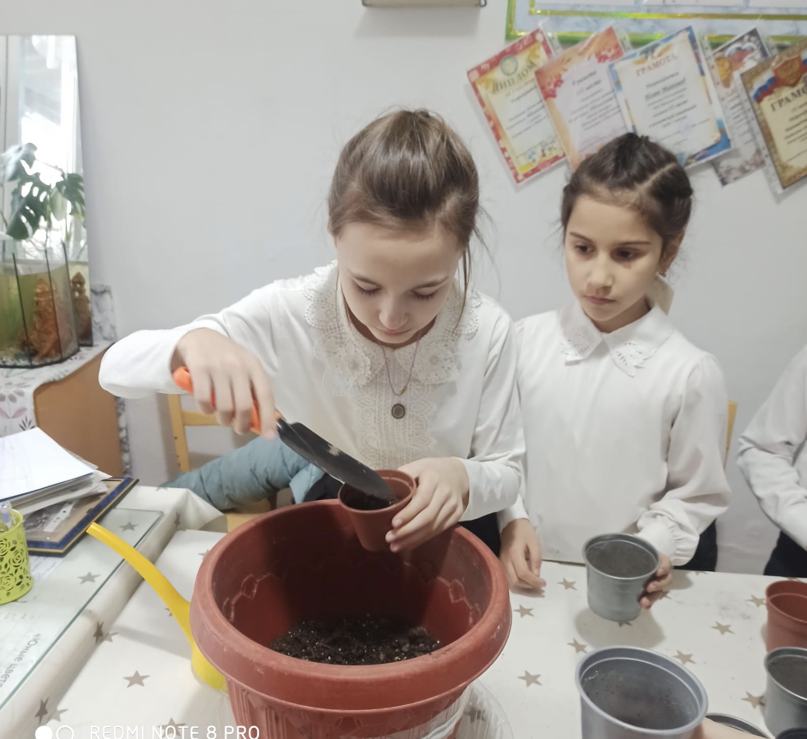 Объединение "Юные цветоводы" Объединение "Юные цветоводы"