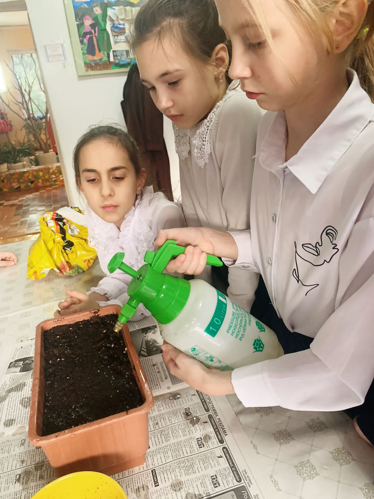 Объединение "Лесоводы"