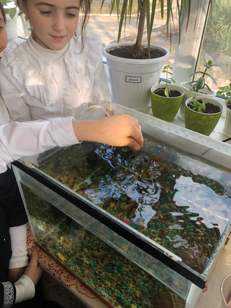 Объединение "Аквариумные рыбоводы"