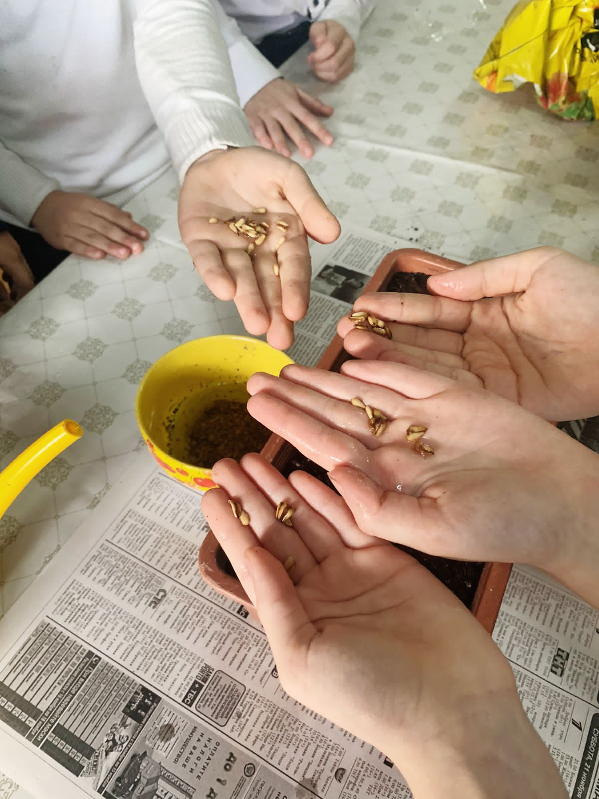 Объединение "Лесоводы"