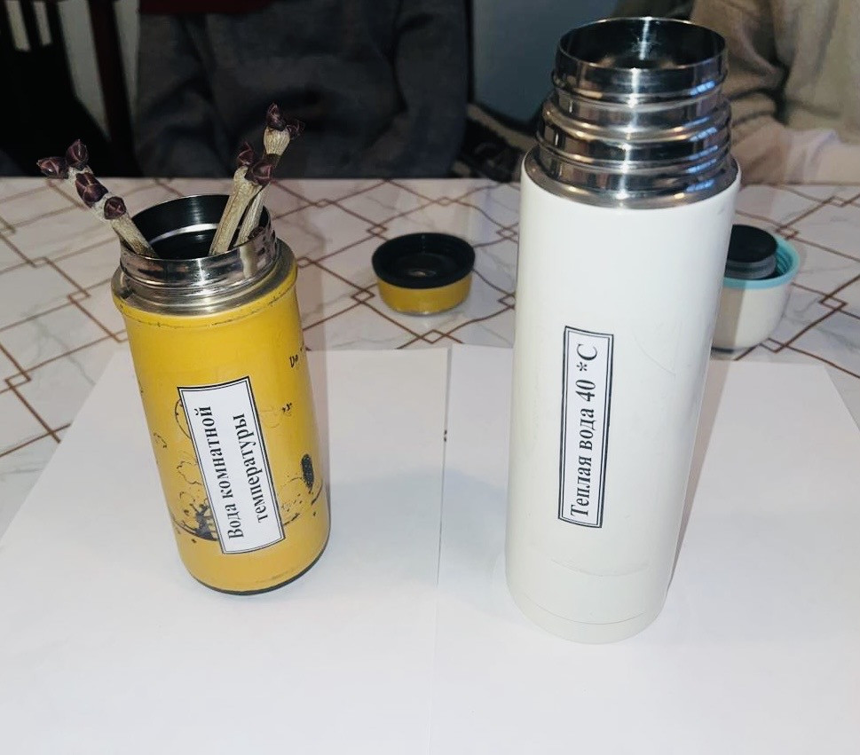 Объединение "Ландшафтный дизайнер"