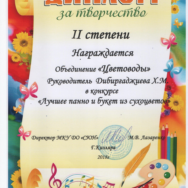 Анкета участника- конкурсанта