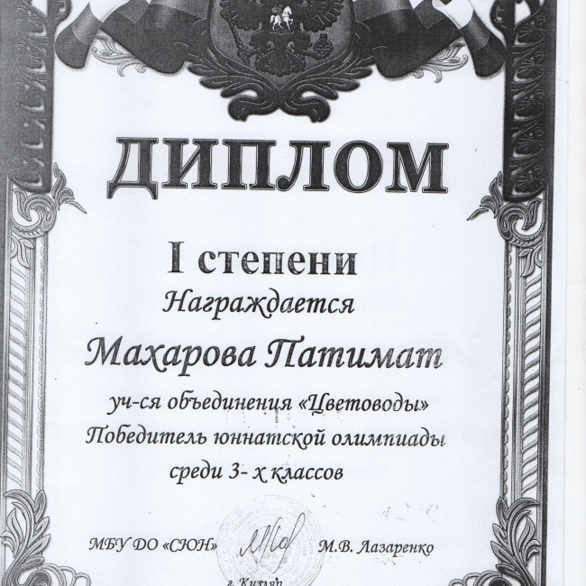 Результаты освоения ДОП "Эти загадочные цветы"