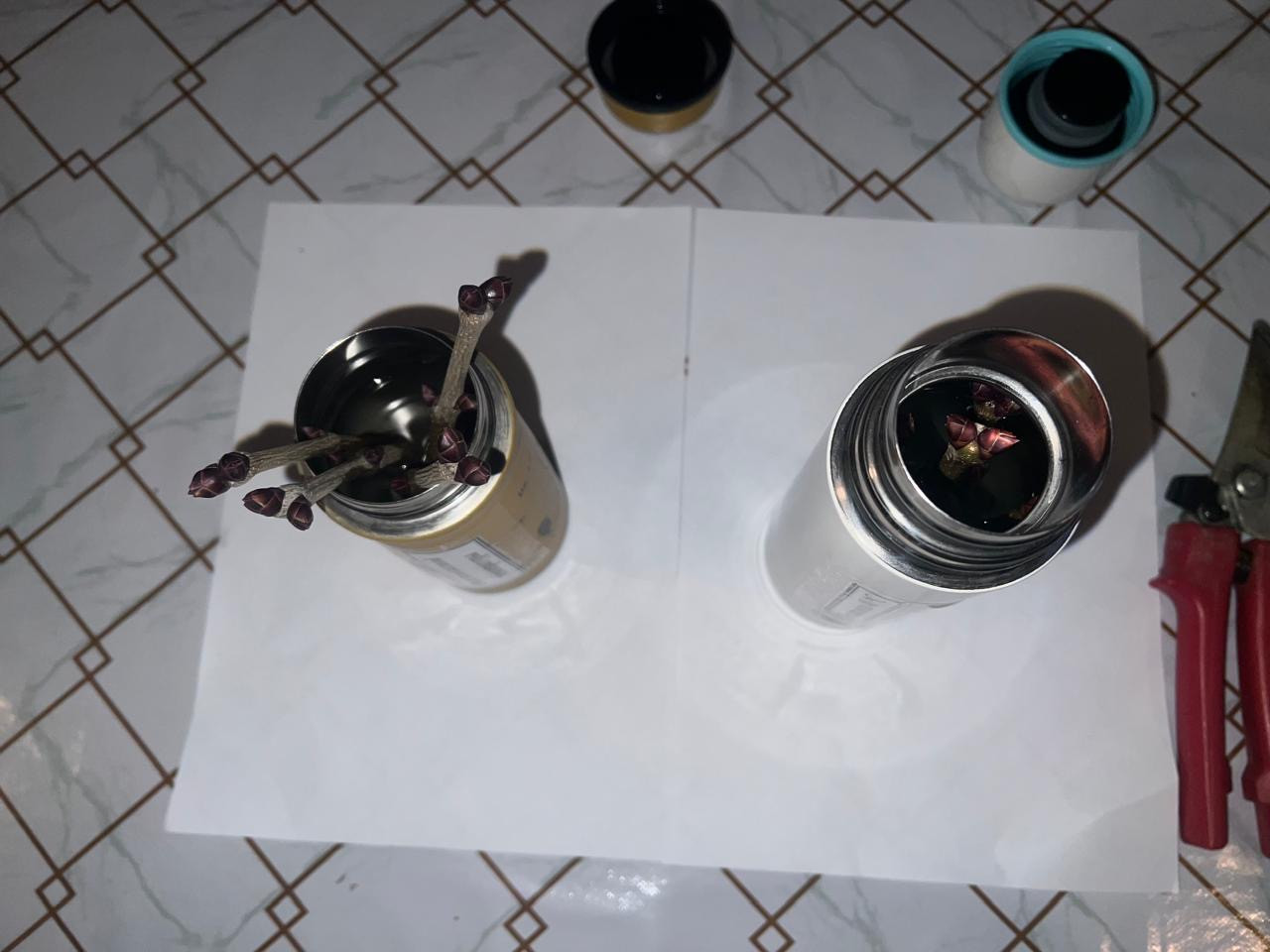 Объединение "Ландшафтный дизайнер"