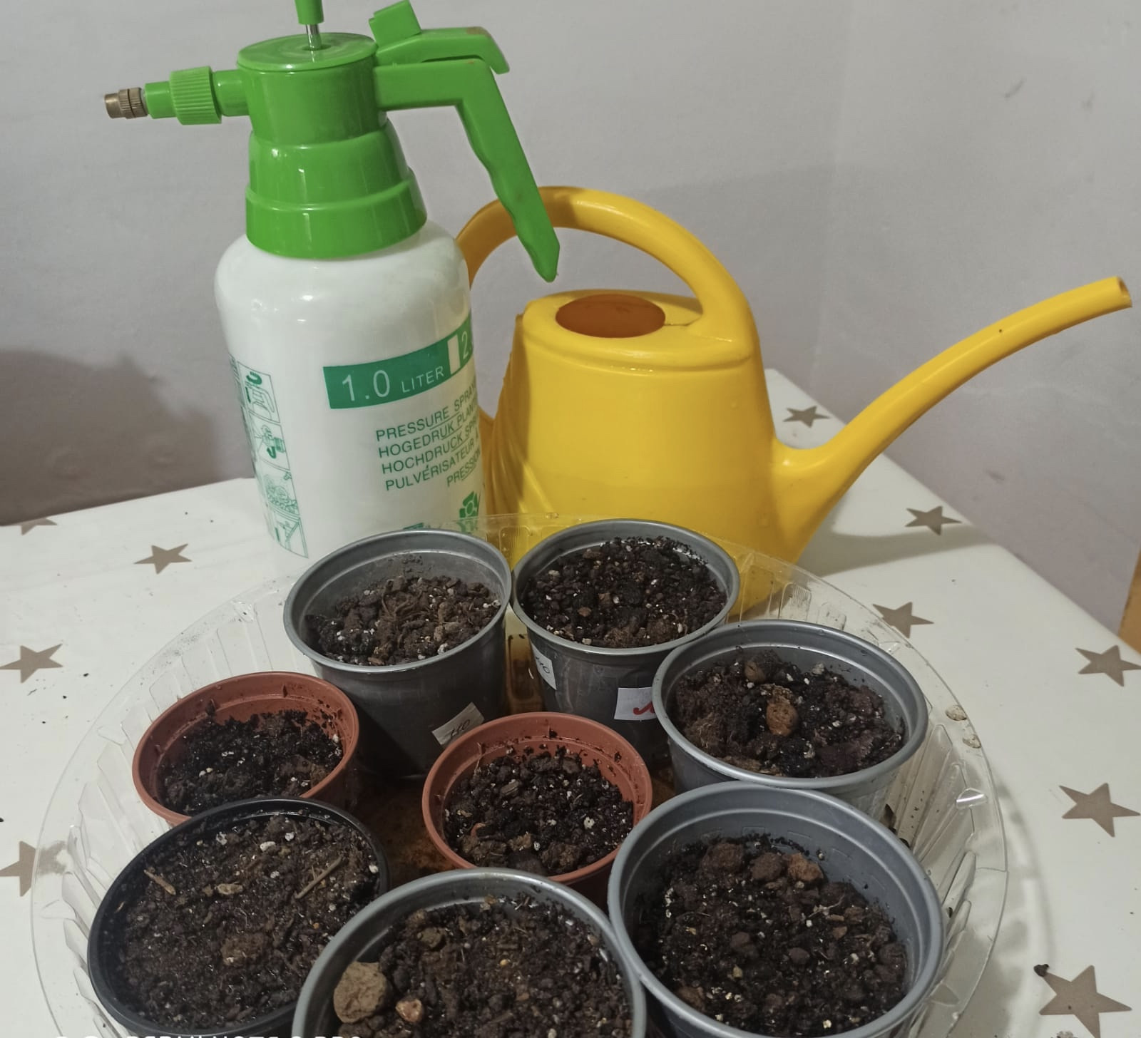 Объединение "Юные цветоводы" Объединение "Юные цветоводы"