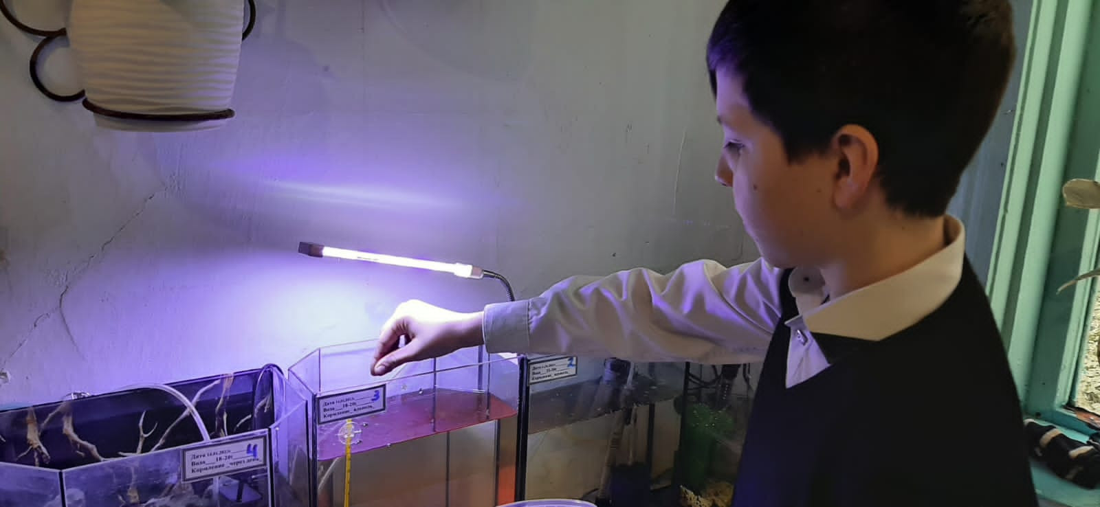 Объединение "Юные аквариумисты"