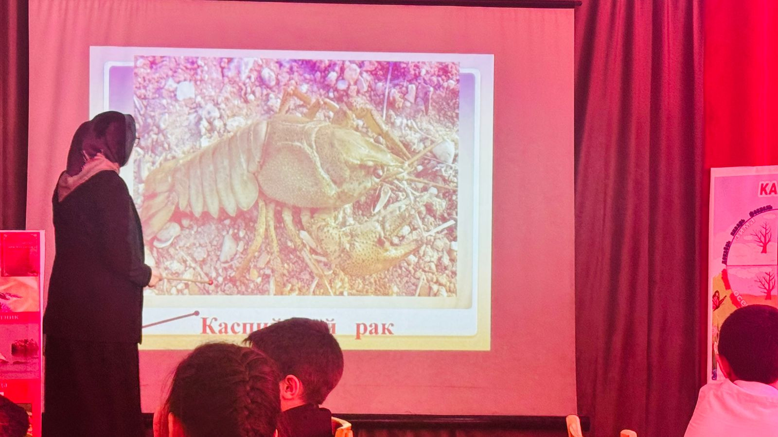 График проведения открытых занятий в объединениях ДДиМ на 2024- 2025 уч.г.