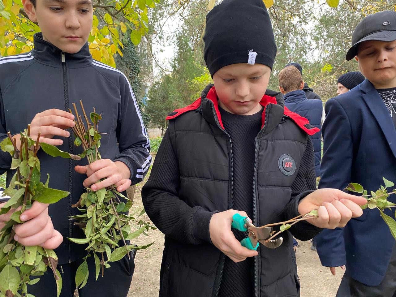"Комнатные цветоводы"
