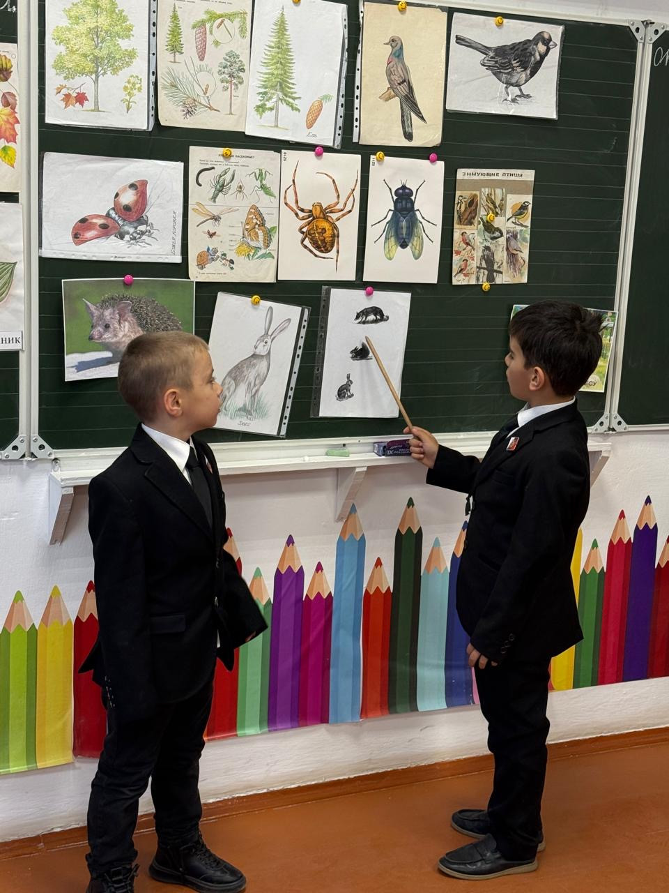 Мониторинг 2025- 2026