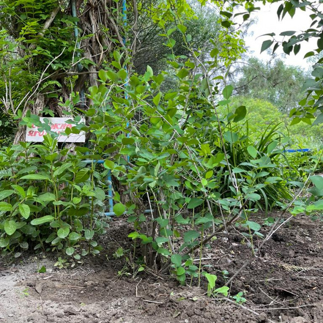 Объединение "Охрана природы"