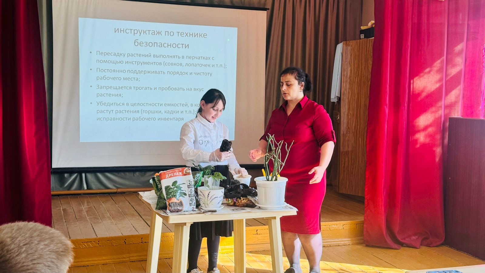 График проведения открытых занятий в объединениях ДДиМ на 2024- 2025 уч.г.