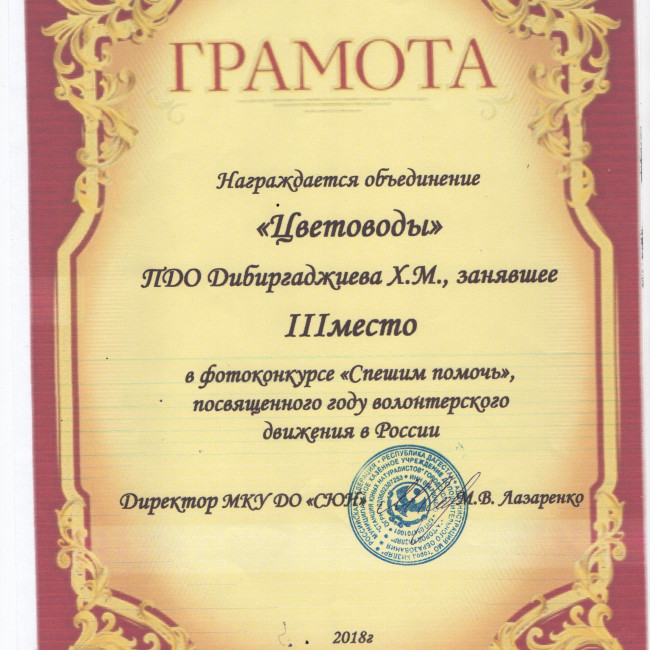 Анкета участника- конкурсанта