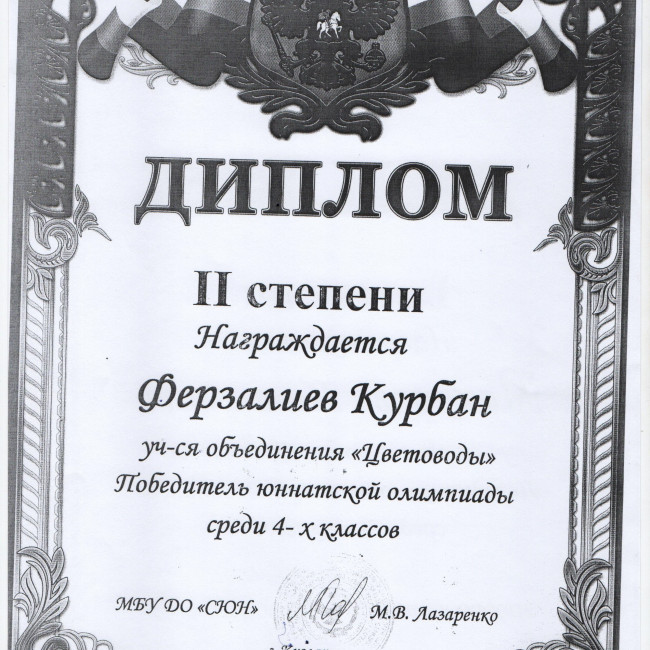 Результаты освоения ДОП "Эти загадочные цветы"