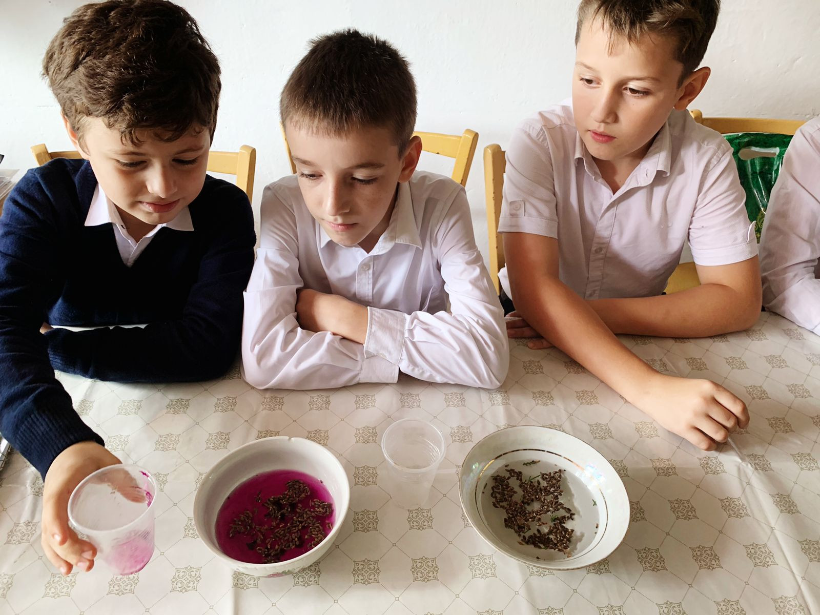 Объединение "Лесоводы"