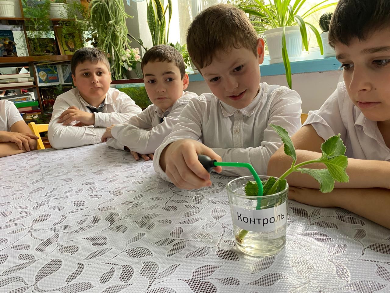 Объединение Комнатные цветоводы"