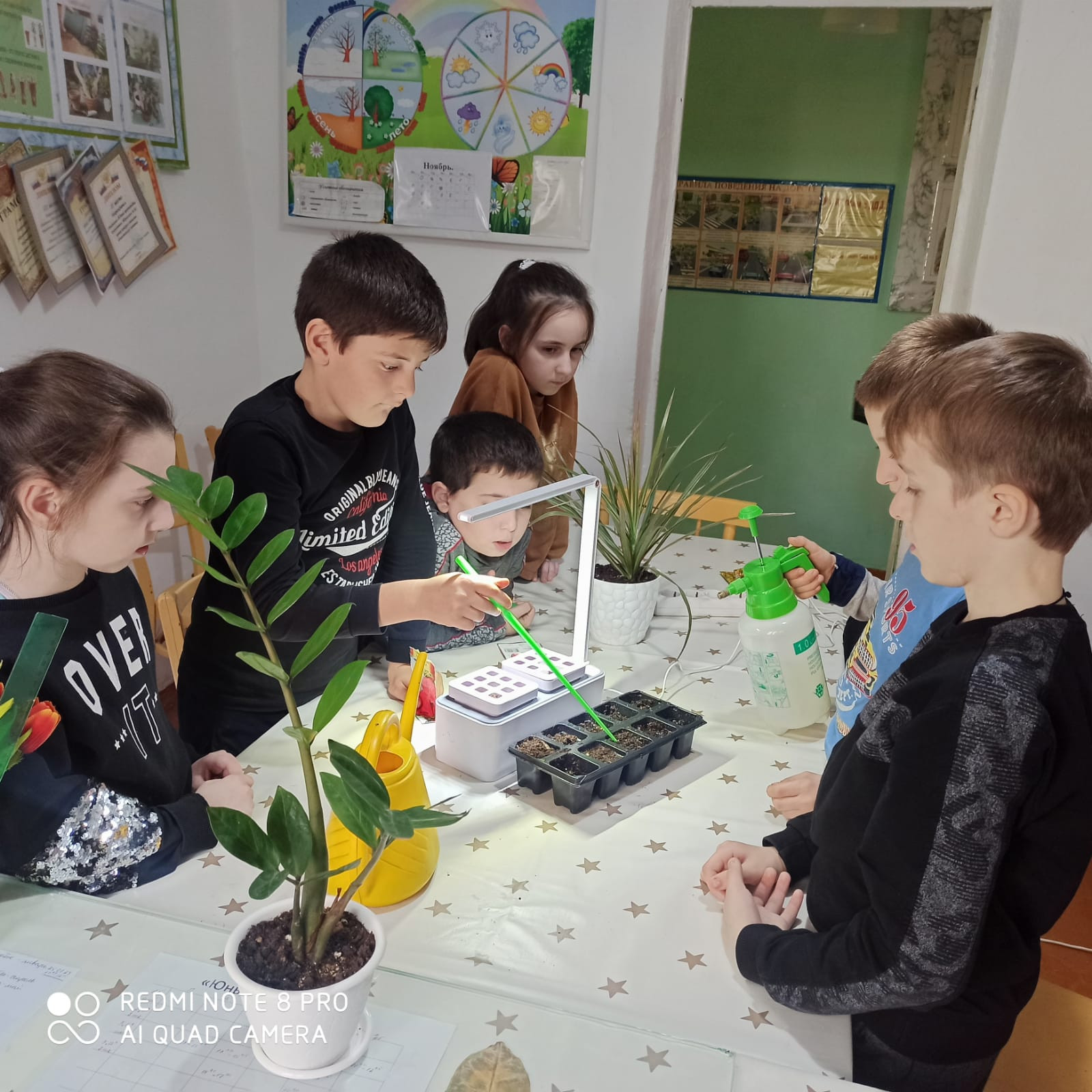 Объединение "Юные цветоводы"