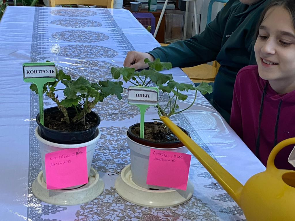 "Комнатные цветоводы"