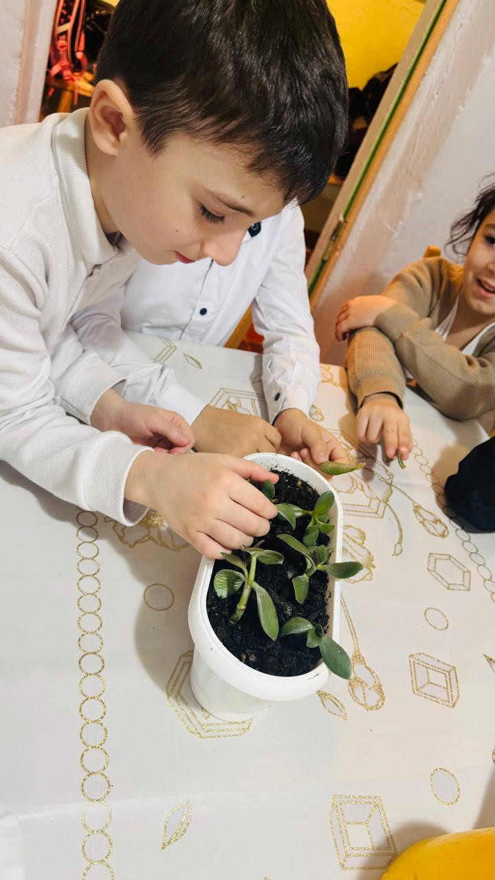 Объединение "Экодизайн"