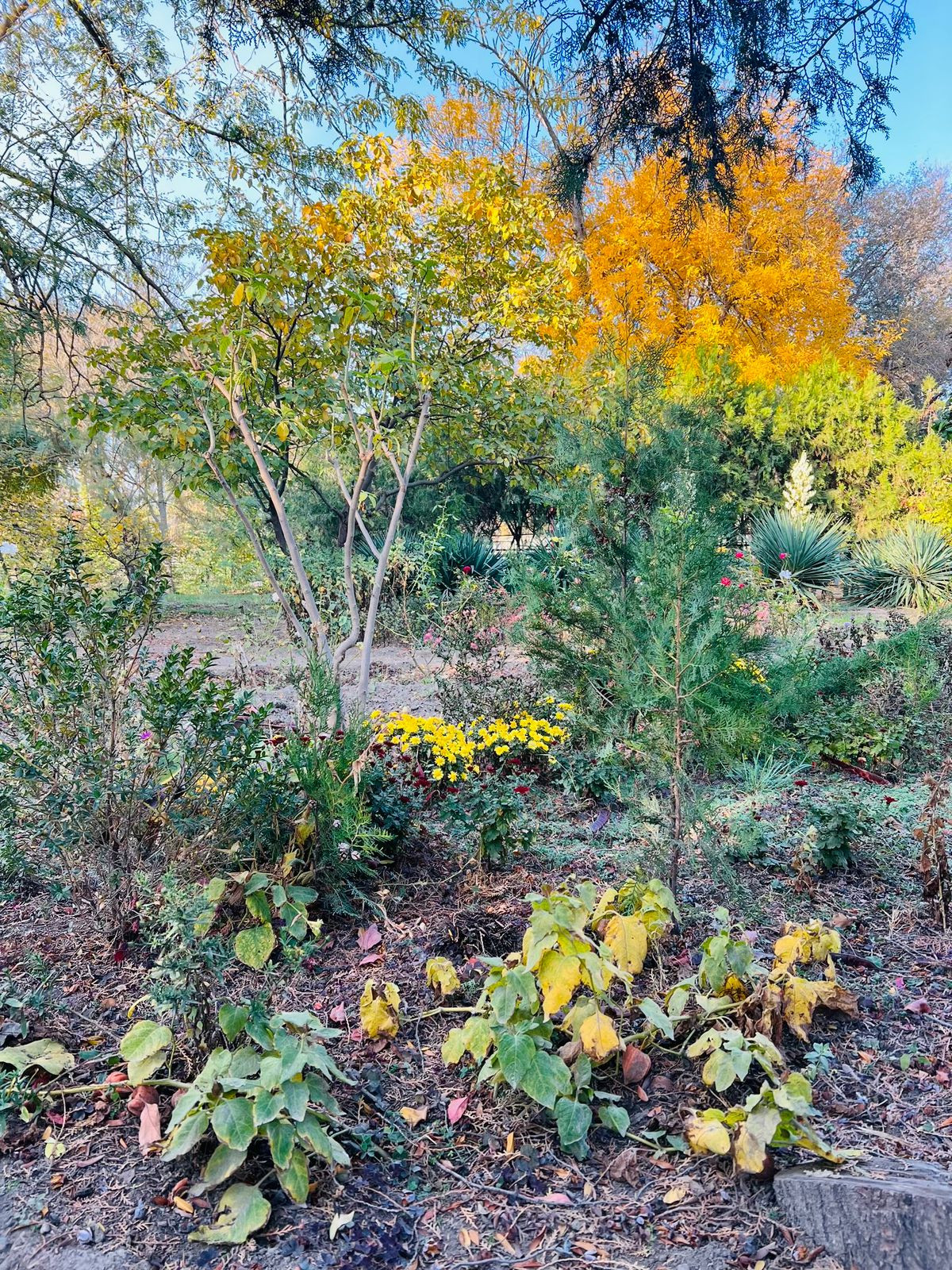 Учебно- опытный участок объединения "Юные аквариумисты"