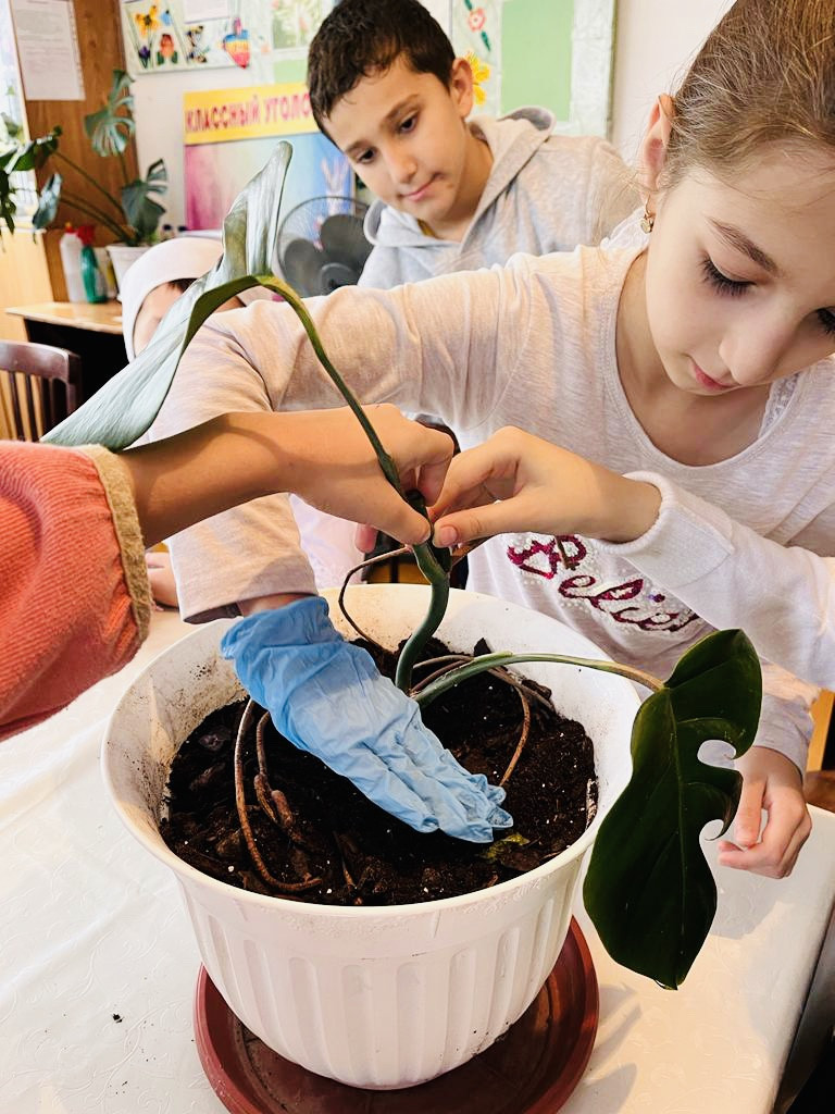 Объединение "Охрана природы" Объединение "Охрана природы"