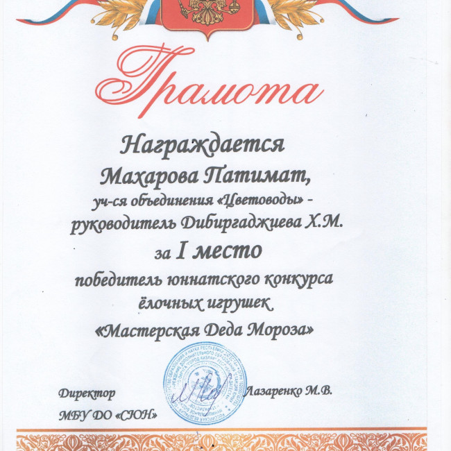 Результаты освоения ДОП "Эти загадочные цветы"