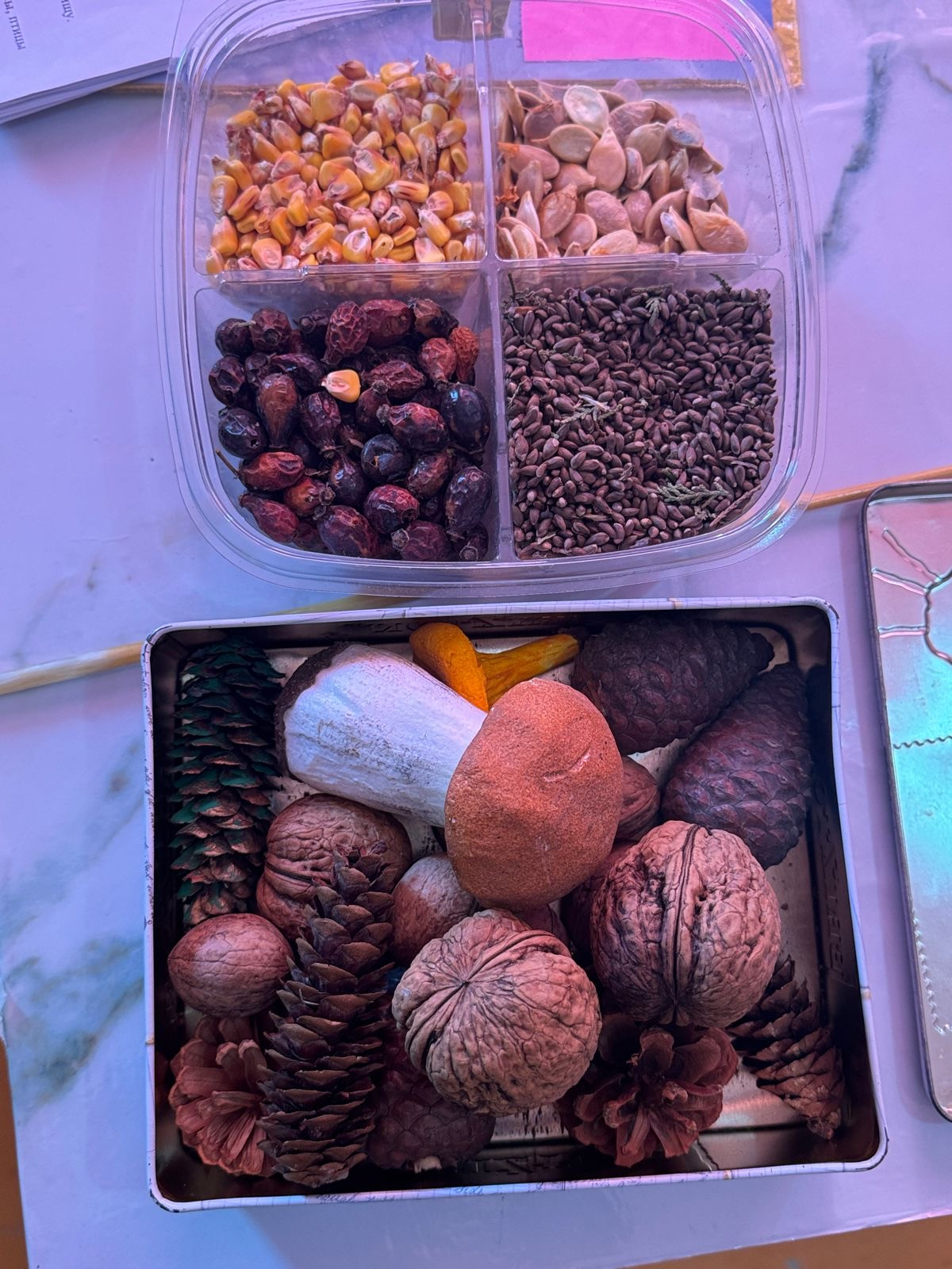 График проведения открытых занятий в объединениях ДДиМ на 2025- 2026 уч.г.