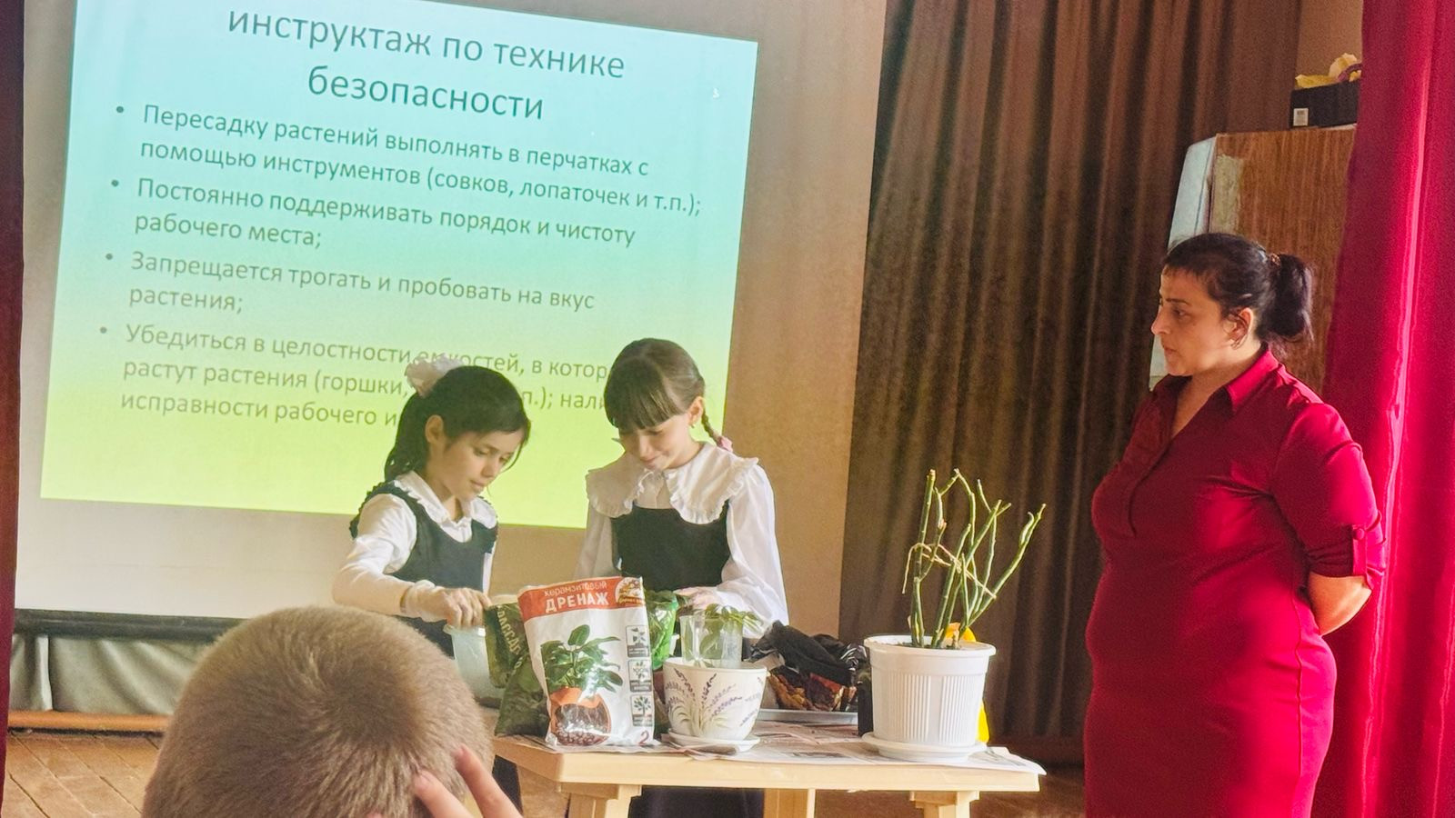 График проведения открытых занятий в объединениях ДДиМ на 2024- 2025 уч.г.