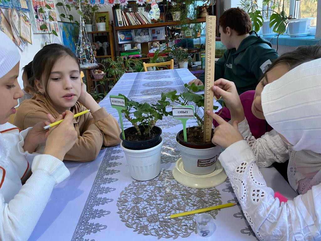 "Комнатные цветоводы"