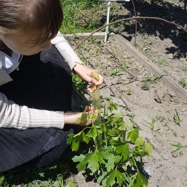 Объединение "Садоводы"