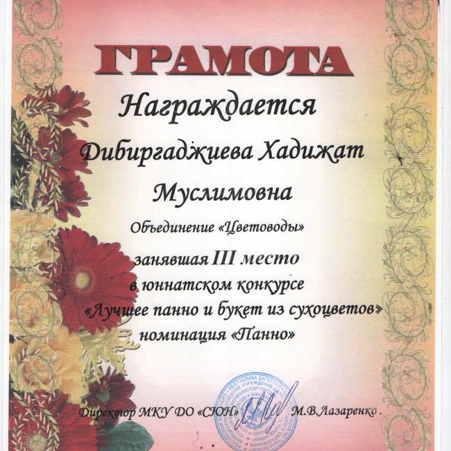 Анкета участника- конкурсанта