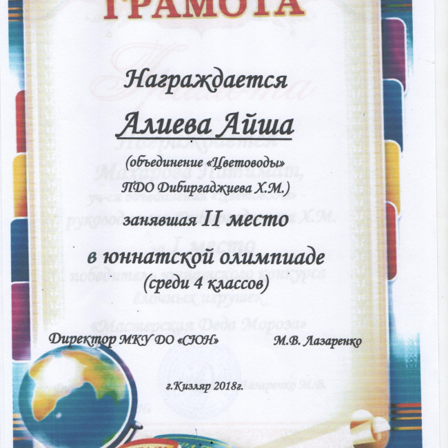 Результаты освоения ДОП "Эти загадочные цветы"