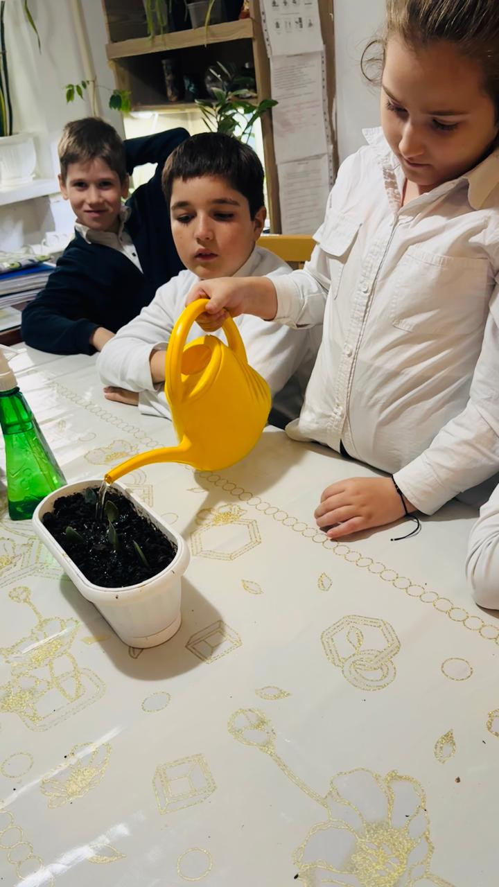 Объединение "Экодизайн"