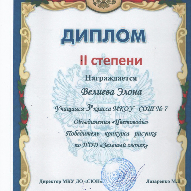 Результаты освоения ДОП "Эти загадочные цветы"