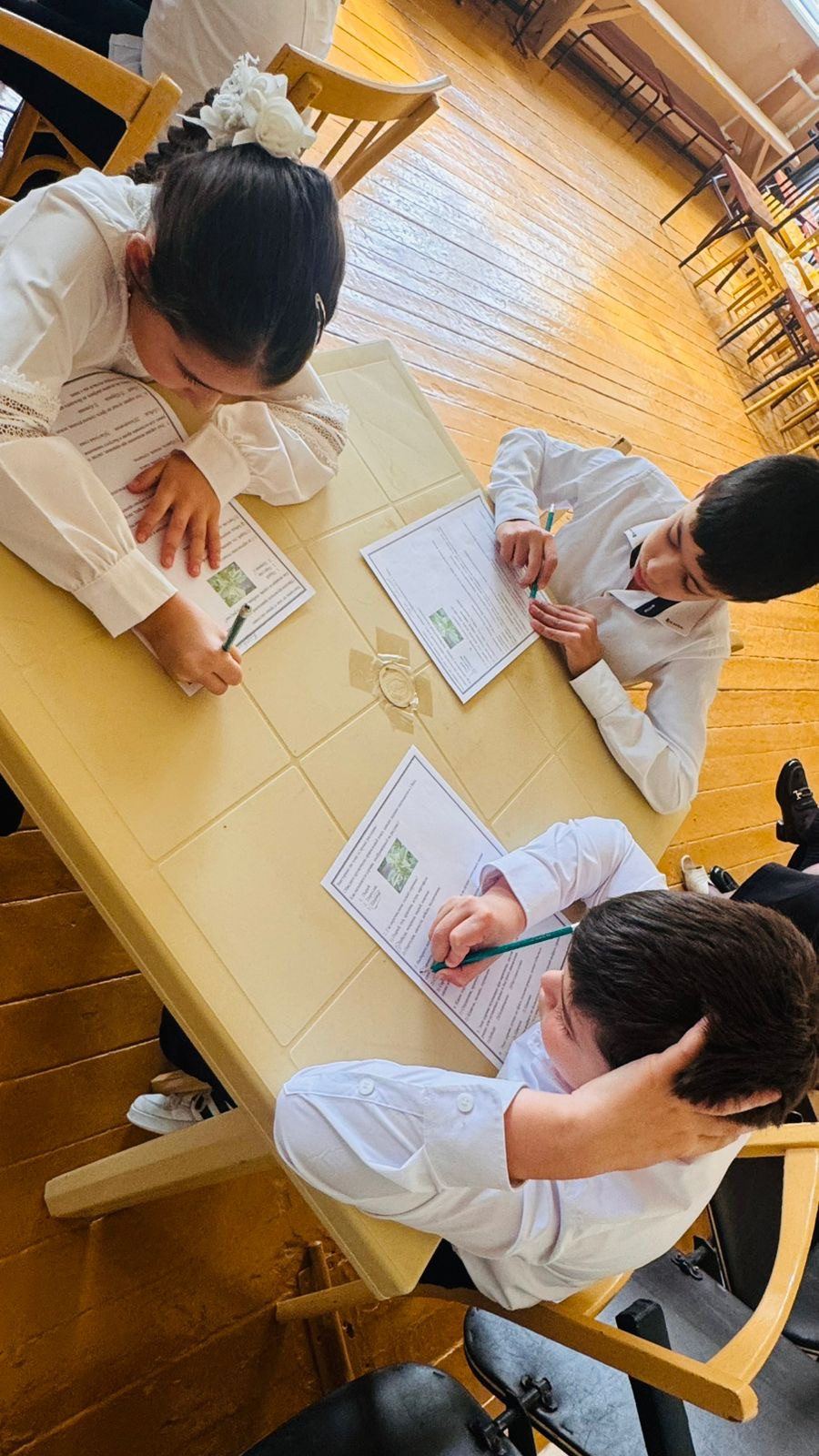 График проведения открытых занятий в объединениях ДДиМ на 2024- 2025 уч.г.