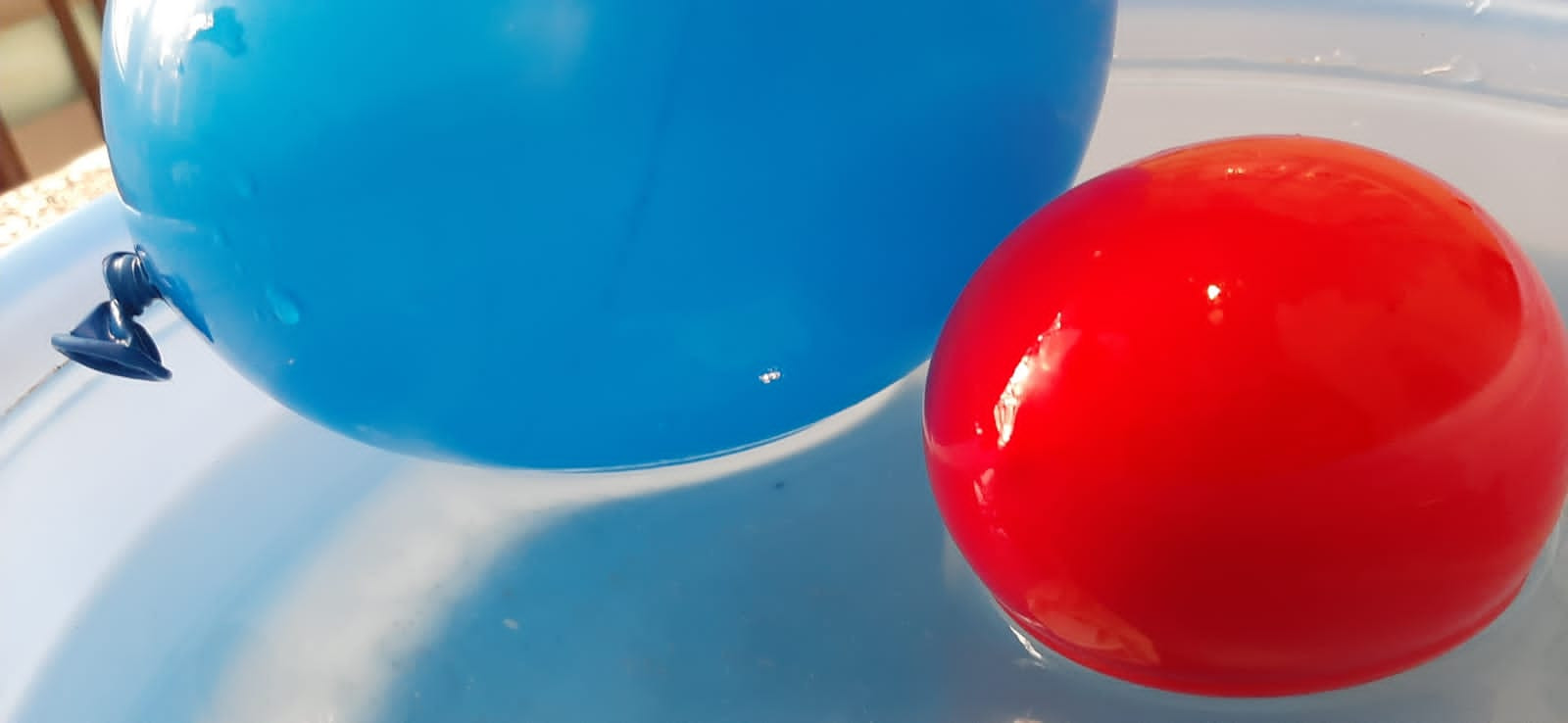 Объединение "Юные аквариумисты"