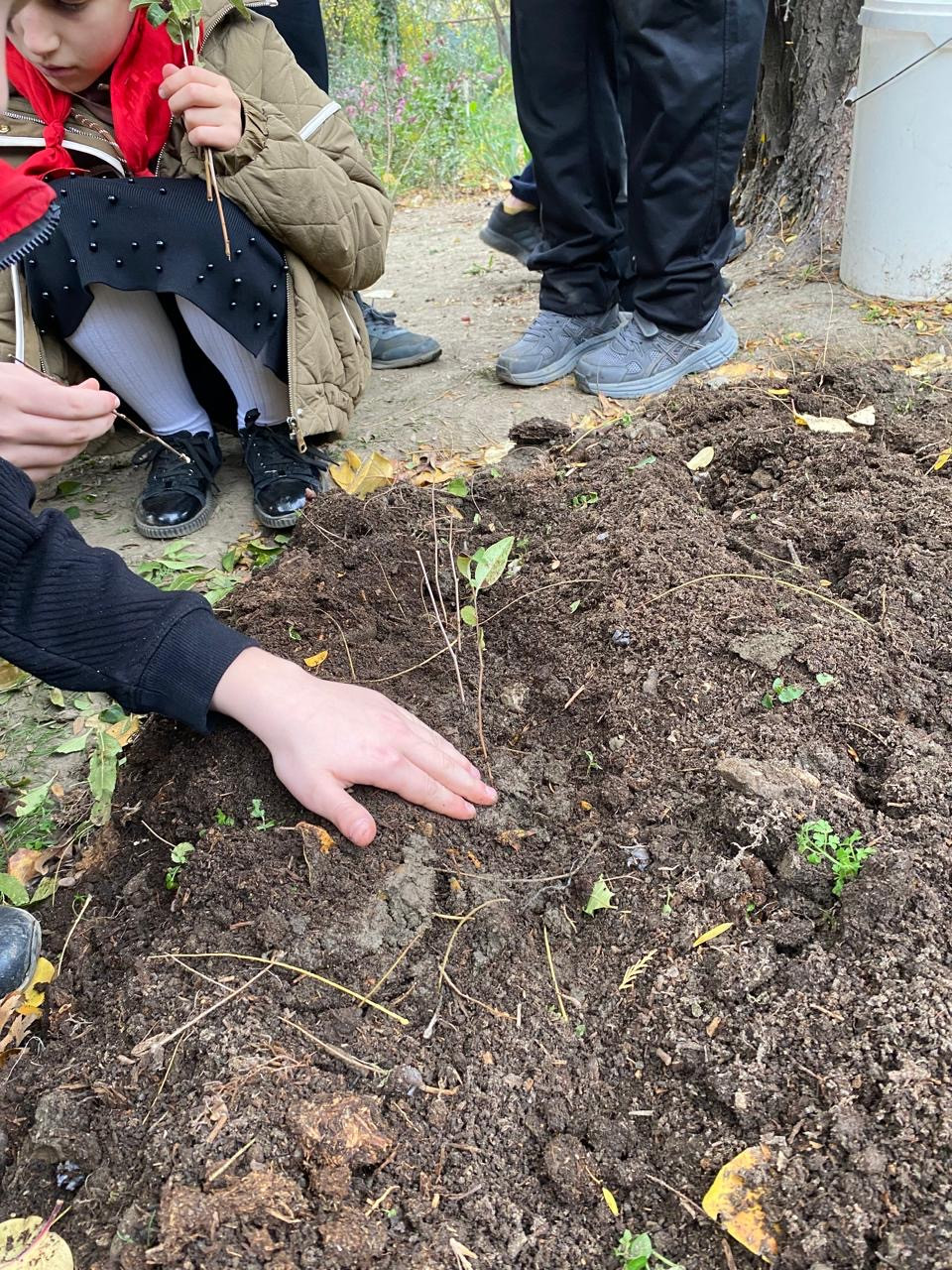 "Комнатные цветоводы"