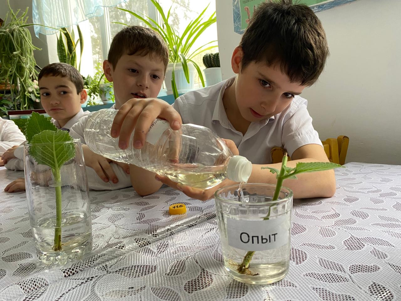 Объединение Комнатные цветоводы"