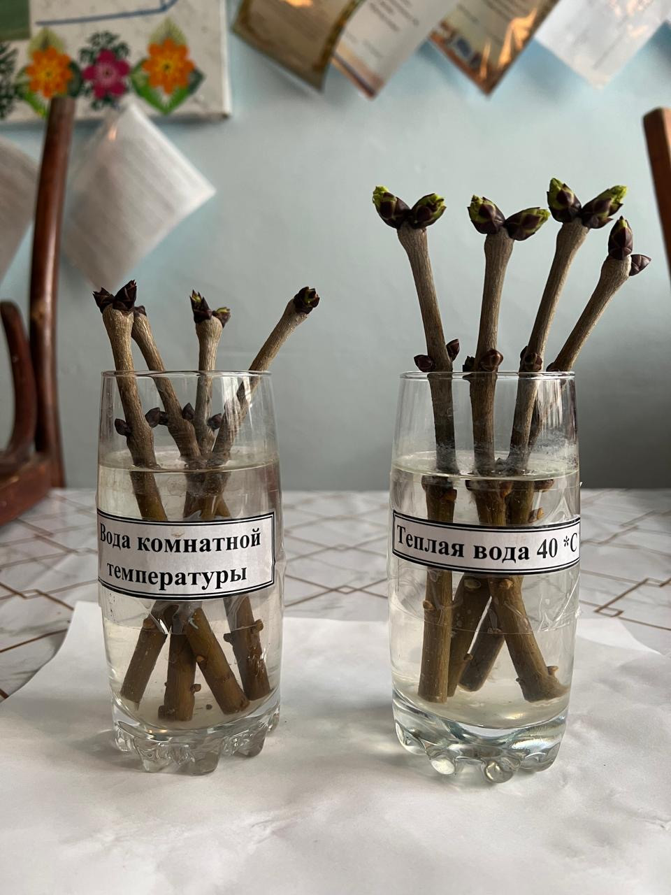 Объединение "Ландшафтный дизайнер"