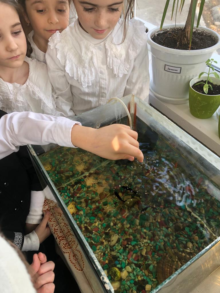 Объединение "Аквариумные рыбоводы"